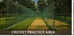 Conceptual cricket practice net visualisation